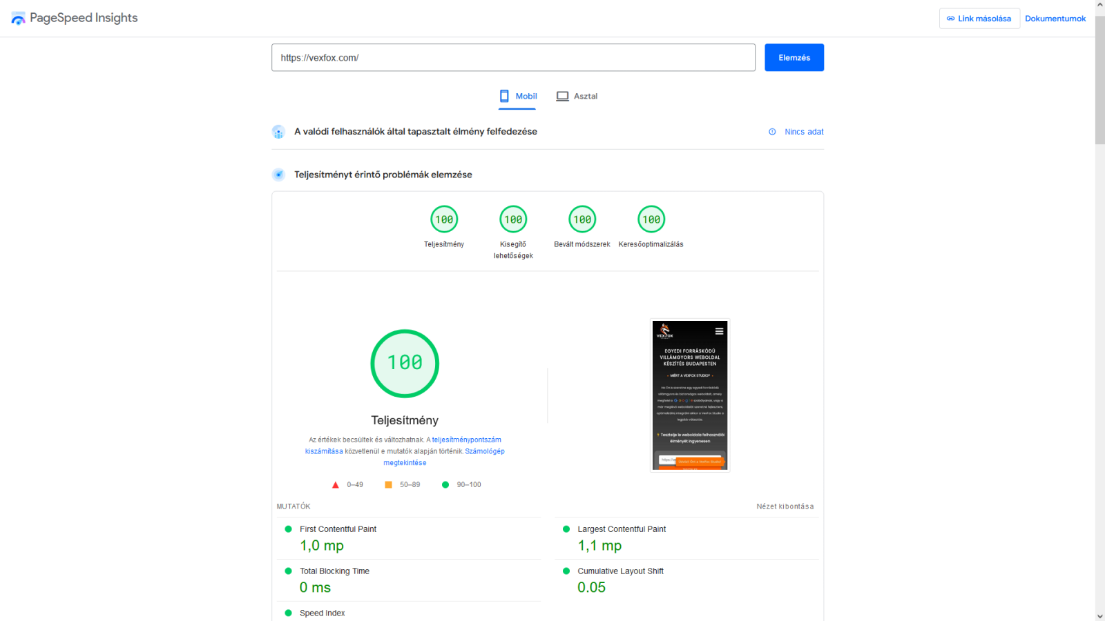 Google Pagespeed 100% (Mobil)