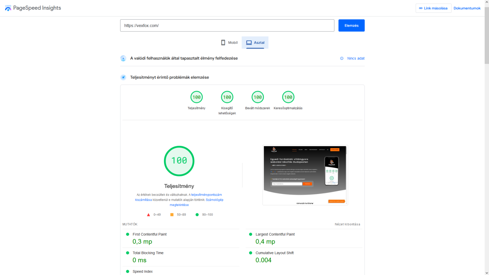 Google Pagespeed 100% (Asztali)