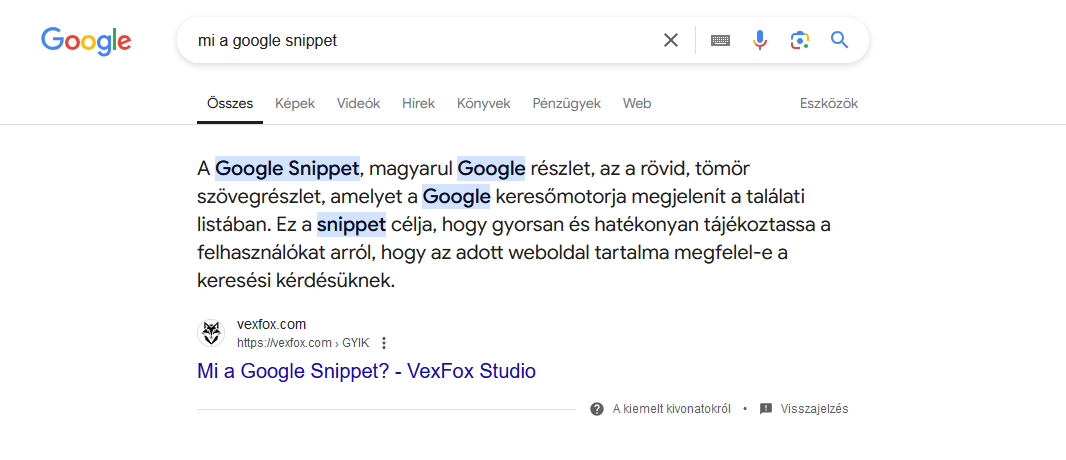 Mi a Google Snippet? A Google Snippet jelentése